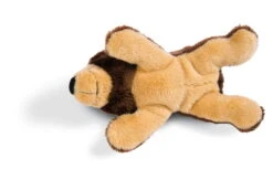 Nici 44052 MagNICI Grizzlybär Criz Lee Ca 12cm Plüsch Magnettier Forest Friends -Nici Store 44052 03 ZA 2048x1427