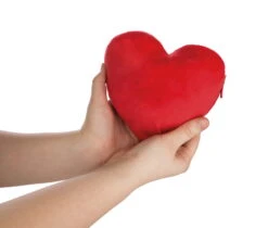 Nici 44427 Love Bär Schwester Rosa Wendeplüsch Bär In Herzkissen Ca 20cm 18 Nici 44427 Love Bär Schwester Rosa Wendeplüsch Bär In Herzkissen Ca 20cm -Nici Store 44427 07 ZA Frei 2048x1741