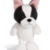 Nici 45101 Französische Bulldogge Ca 20cm Dog Friends Schlenker Plüsch 2 Nici 45101 Französische Bulldogge Ca 20cm Dog Friends Schlenker Plüsch -Nici Store 45101 01 HA Frei 1638x2048