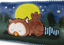Nici 47879 Kissen Eule Oscar Schlafend Glow In The Dark 43x25cm Plüsch Owlsons -Nici Store 47879 04 ZA Frei 2048x1451