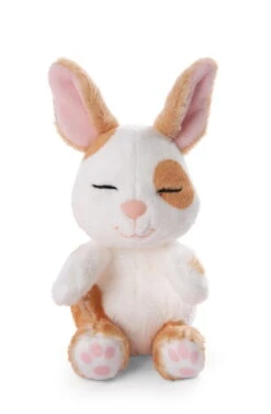 Nici 48707 Sleeping Pets Bunnies Hase Karamell Punkte 12cm Schlafend Im Körbchen -Nici Store 48707 04 ZA Frei 1341x2048