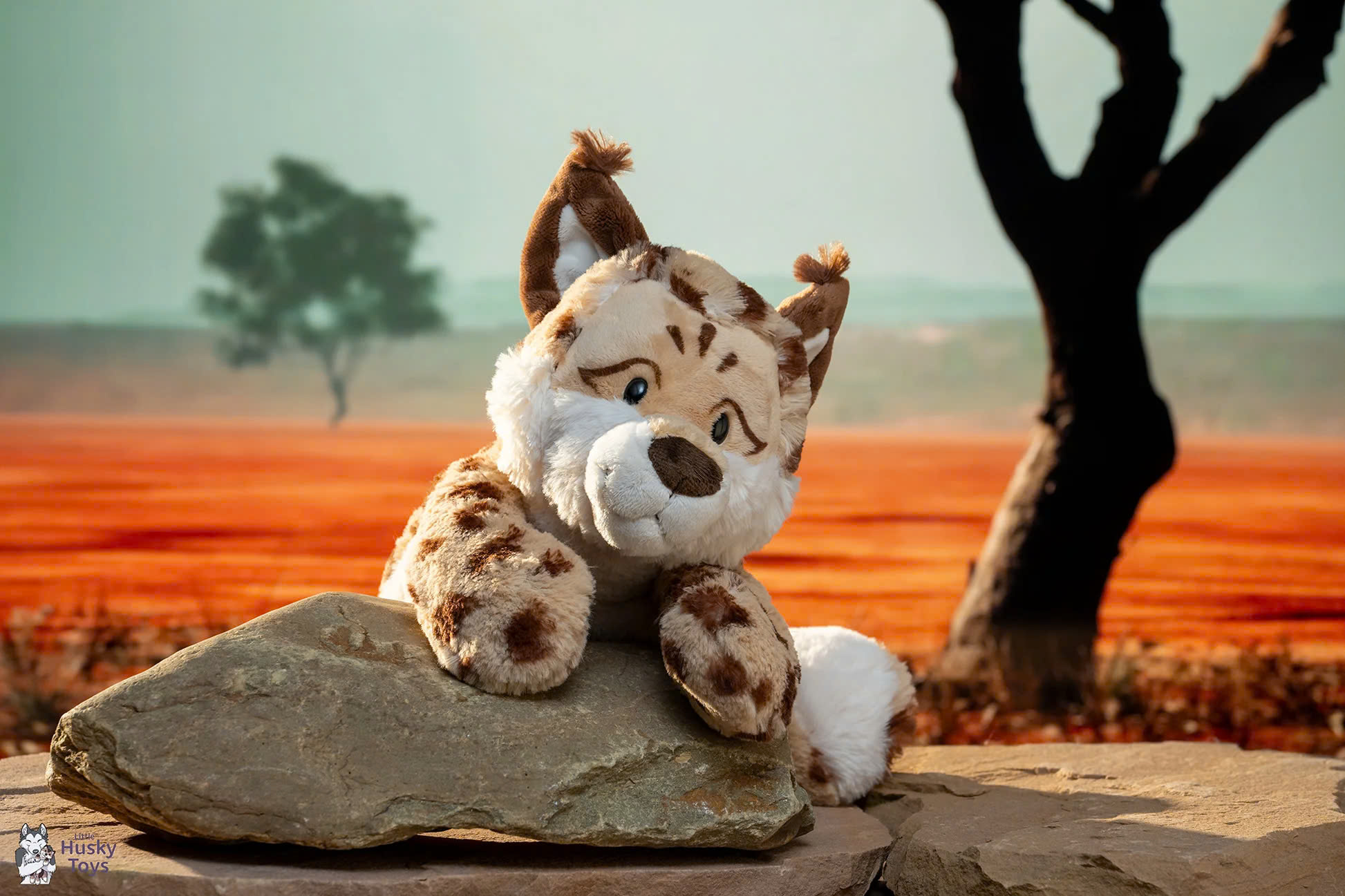 Nici Store -Nici Store z6563806167726 2effac3e26f1ce022e223e8b0eb37183